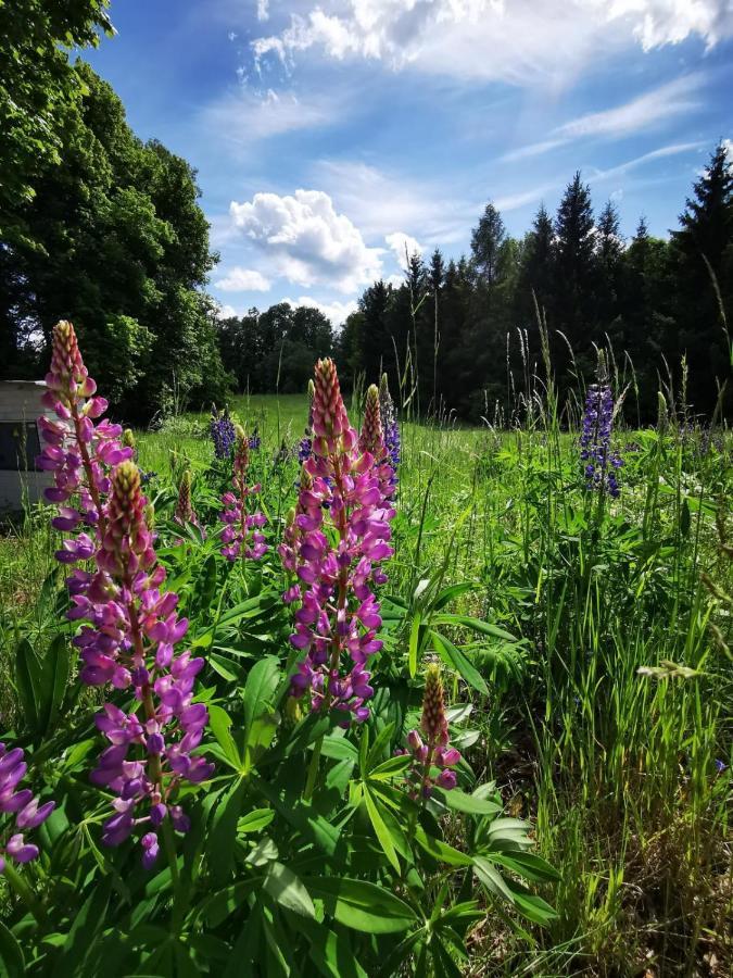 Cyklocamp Pod Landstejnem Hotel Stare Mesto  Екстериор снимка